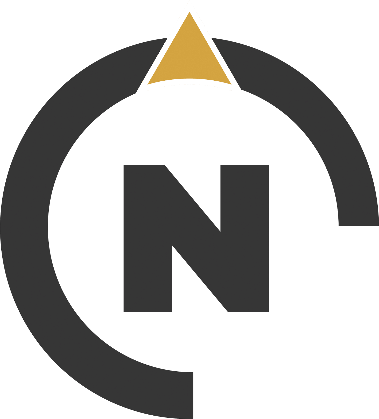 Logo N Netmanager transparente