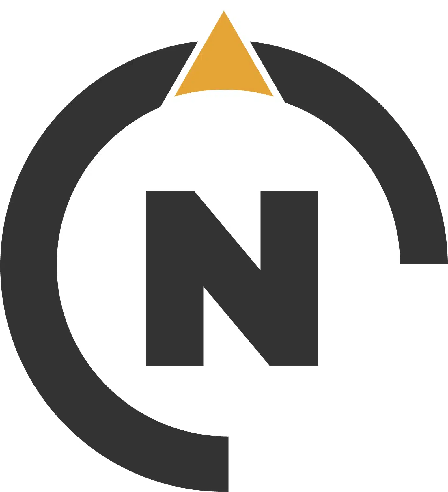 N y cirulo logo netmanager