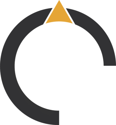 Logo net manager sin bordes